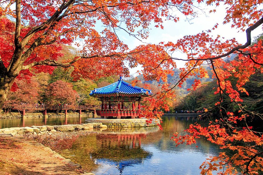 내장산 단풍·담양 죽녹원 2박3일